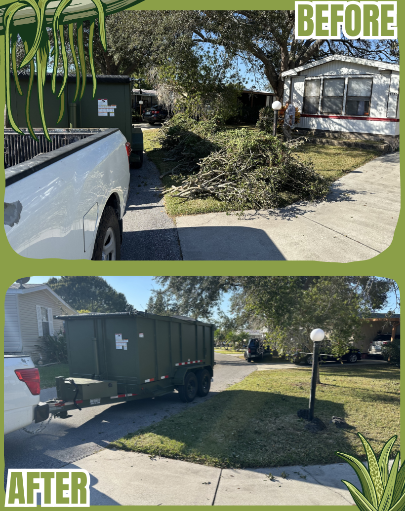 SWAMPED- BEFORE & AFTER Example 2