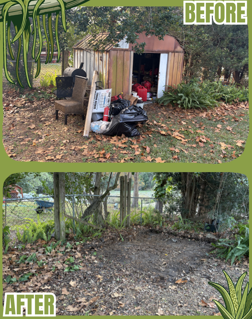 SWAMPED- BEFORE & AFTER Example 3